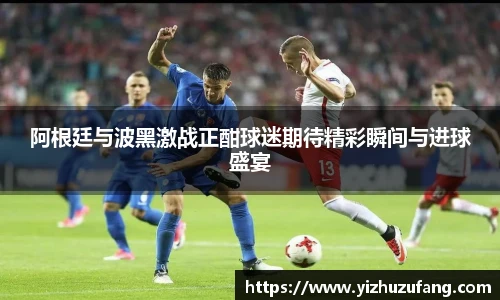 阿根廷与波黑激战正酣球迷期待精彩瞬间与进球盛宴